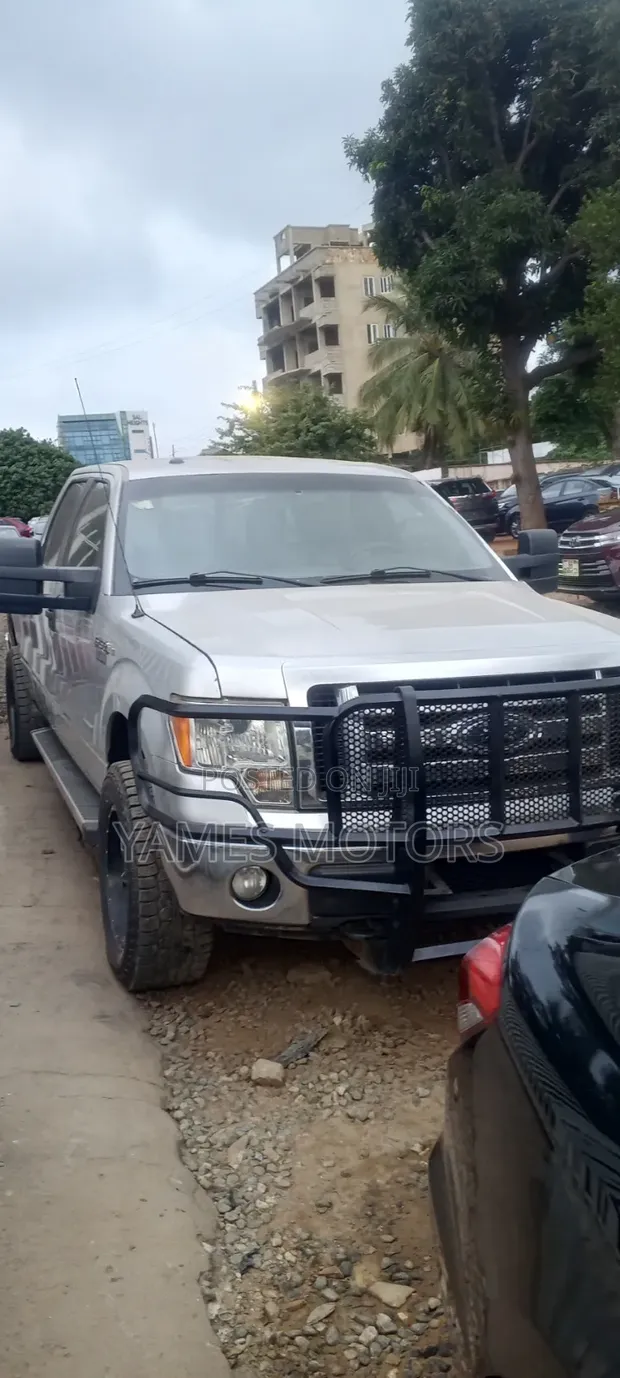Ford F-150 2012 Silver - 1