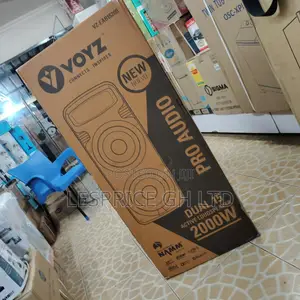 Voyz 2000W Portable Bluetooth Speaker with Microphone