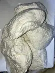 Fresh Wagashie (Local Cheese) - 2