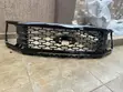 Ford F-150 2025-2026 Front Grille - 1