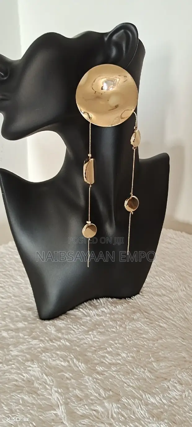 Elegant Long Drop Earrings - 1