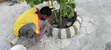 Pavement Blocks & Concrete Curbs by Serovais Construction - 1
