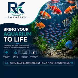 Aquarium Services - Regular Servicing & Set-up