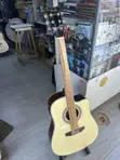 Fender Semi-Acoustic Guitar - 3