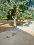 Furnished 2-Bedroom House for Sale in New Market - 4