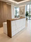 Reception Counter - White with Gold Accents - 2