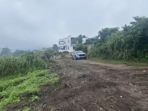 Registered Residential Land for Sale in Aburi Konkonuru