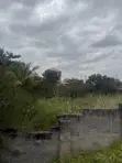 140x70ft Walled Land for Sale at Afienya Mataheko - 5