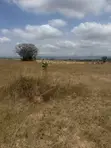 4 Plots of Land for Sale at Afienya Mobole - 2