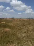 4 Plots of Land for Sale at Afienya Mobole - 3