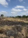 4 Plots for Sale at Afienya Mobole - 1
