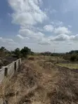 4 Plots for Sale at Afienya Mobole - 2
