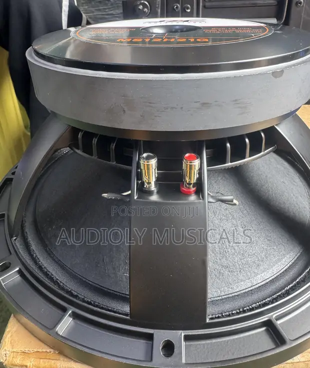 Jac Naked 12-Inch Single Magnet Mid Speaker - 1