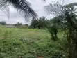 Roadside Land for Sale - Awutu Senya East - 4