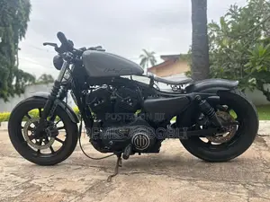 Harley-Davidson 2010 Motorcycle