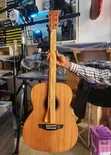 Strinberg Forest FS1A MGS Artistic Electroacoustic Guitar - 1