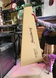 Strinberg Forest FS1A MGS Artistic Electroacoustic Guitar - 2