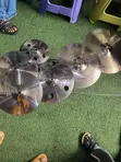 Sabian B8X 5-Piece Cymbal Set - 4