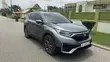 2020 Honda CR-V EX-L AWD Gray - 2
