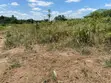 3 Acres Registered Land for Sale - Akotuakrom - 2