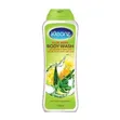 Kleanz Body Wash - Aloe Vera, Strawberry, Vanilla & Honey - 2