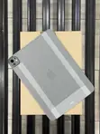 New Apple iPad Pro 11" (2022) 128GB Gray - 3