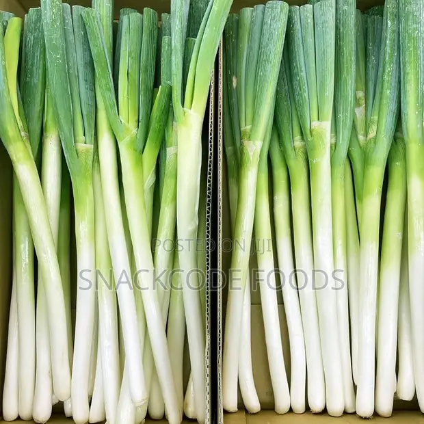 Fresh Leeks - 10kg Cartons - 1