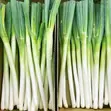 Fresh Leeks - 10kg Cartons - 1