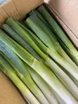 Fresh Leeks - 10kg Cartons - 2
