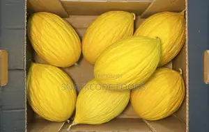 Melon Yellow - 10kg Cartons