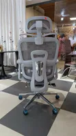 Royal Comfort Ergonomic Office Swivel Chair - 2