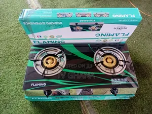 Flamino FGS-2000 Two Burner Gas Stove