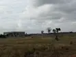 Residential Land for Sale in Afienya - 2