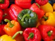 Capsicum Red Yellow - 1