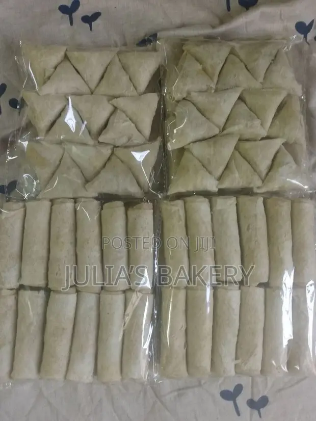 Spring Rolls and Samosas - 1