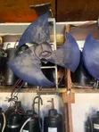 1.5HP AC Fan Motor - Nasco Used - 1