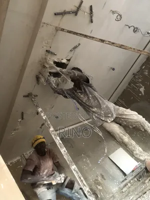 Professional Painter - Takoradi & Accra