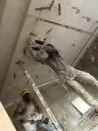 Professional Painter - Takoradi & Accra - 1
