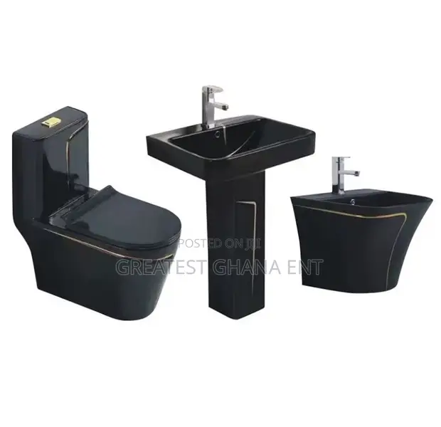Twyford Water Closet - Electric Automation and Manual Flush - 1