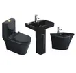 Twyford Water Closet - Electric Automation and Manual Flush - 1