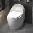 Twyford Water Closet - Electric Automation and Manual Flush - 3