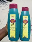 Hawaiian Silky Hydrating Sleek Shampoo & Conditioner - 3