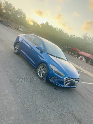 Hyundai Elantra 2018 Blue