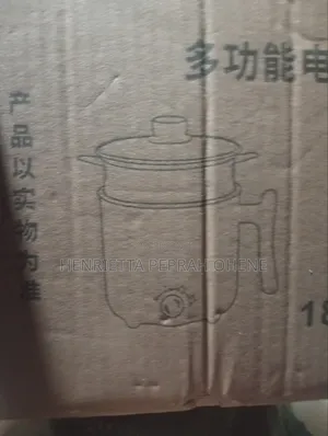 BLOCK 18CM Mini Electric Cooking Pot