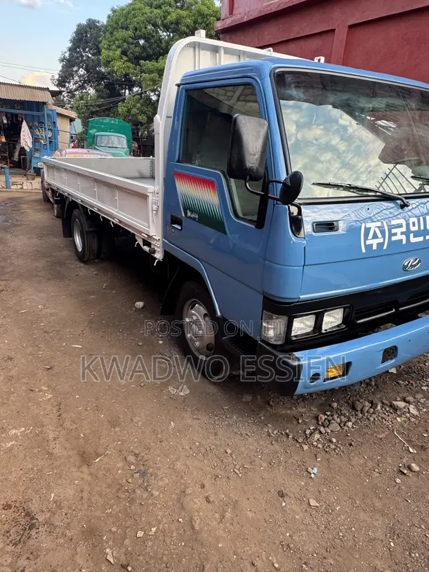Hyundai Mighty Food Truck - 1
