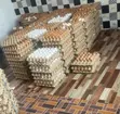 Theresah's Fresh Farm Eggs - 5