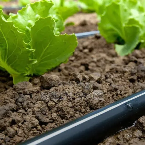 Drip Irrigation Tube - 1