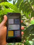 Apple iPhone 7 Plus 32GB Black - 4