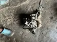 Hyundai Veloster 2014 1.6T Turbo Charger - 2