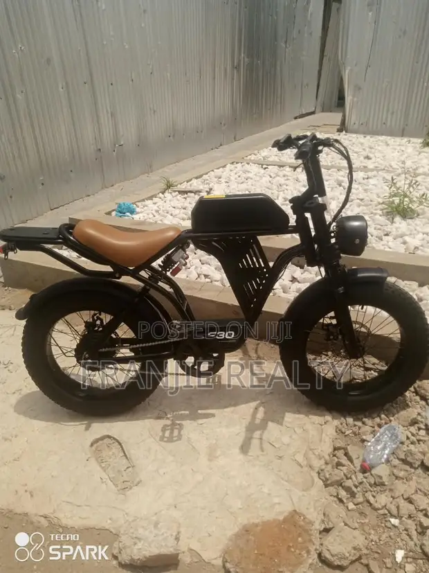 Brand New C30 Fat Tyre Electric Bike - 1